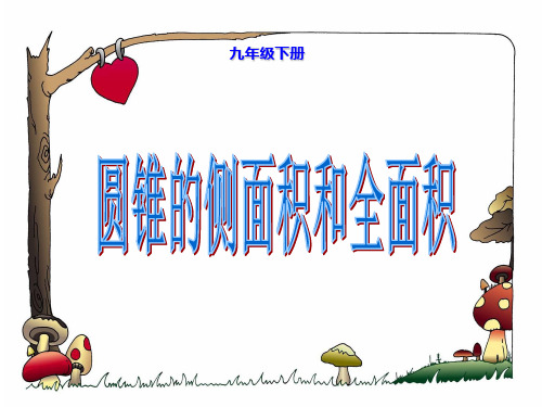 圆锥的侧面展开图课件.