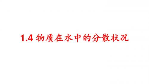 浙教版 物质在水中的分散状况PPT课件1