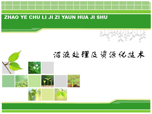 沼液处理及资源化技术讲解