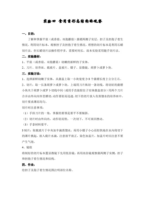 实验四 食用菌形态结构的观察
