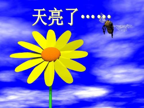 八年级思想品德 我们享有“上帝”的权利 课件