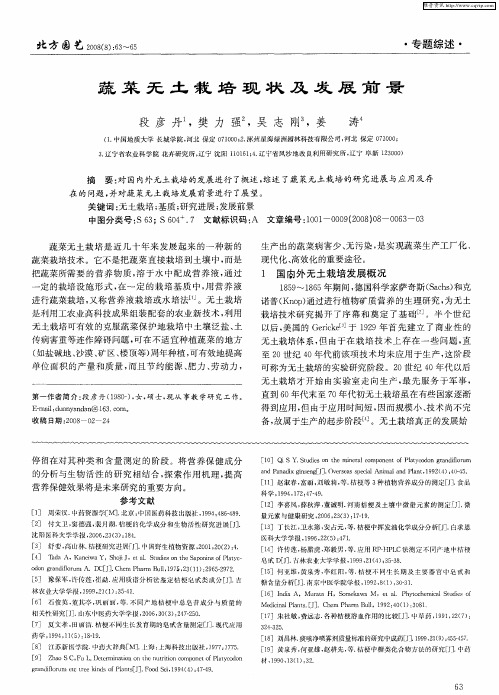 蔬菜无土栽培现状及发展前景