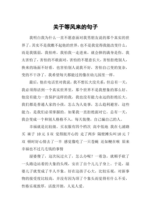 关于等风来的句子