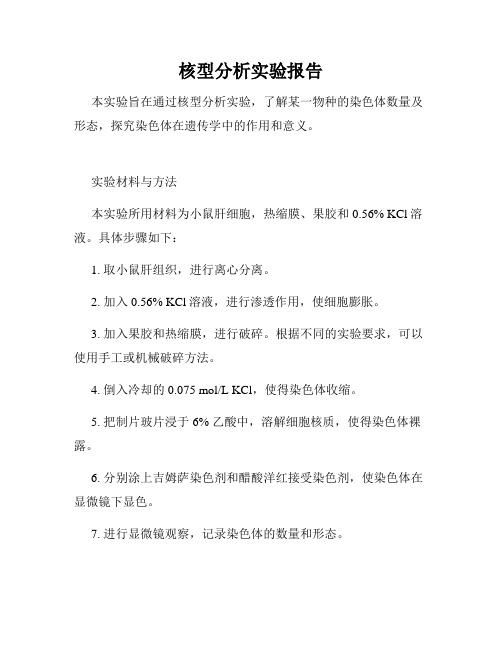 核型分析实验报告