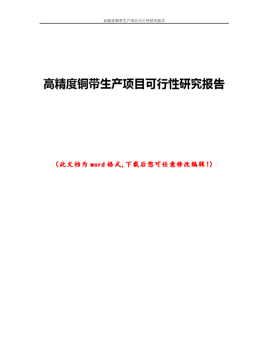 高精度铜带生产项目可行性研究报告