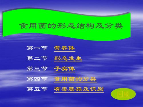 食用菌的形态结构与分类