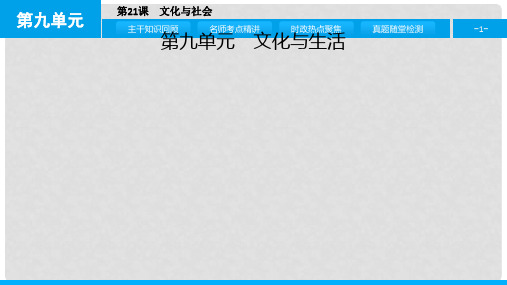 高考政治一轮复习 第九单元 文化与生活 第21课 文化与社会课件 新人教版