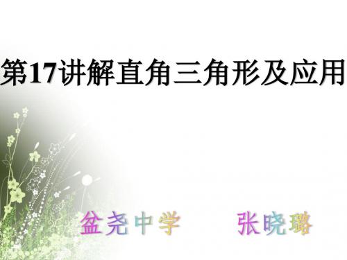 2017中考数学复习--解直角三角形及应用课件