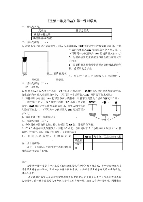 人教版化学九年级下册《生活中常见的盐》第二课时学案