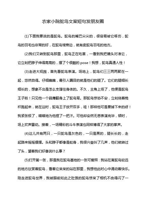 农家小院鸵鸟文案短句发朋友圈