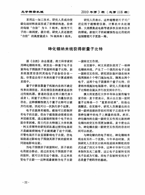 砷化铟纳米线获得新量子比特