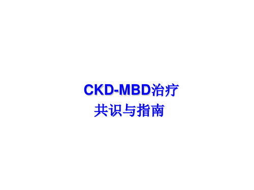 CKD-MBD治疗共识与指南复习过程