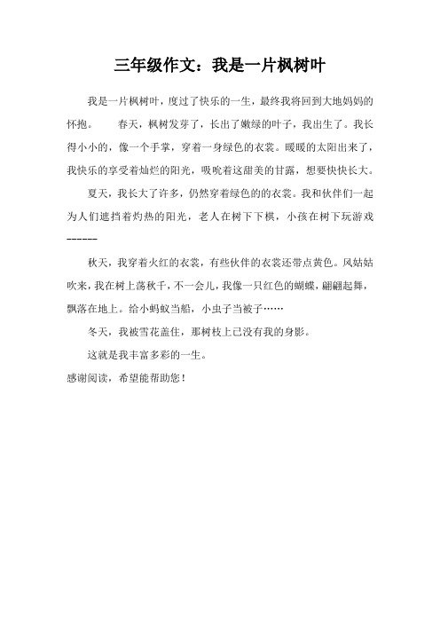 三年级作文：我是一片枫树叶