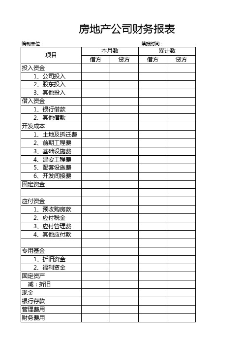 房地产公司财务报表