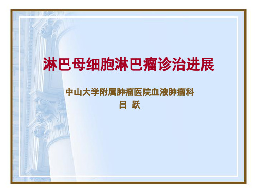 淋巴母细胞淋巴瘤22011.4.23