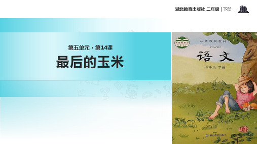 二年级下册语文课件14最后的玉米｜鄂教版 (共14张PPT)