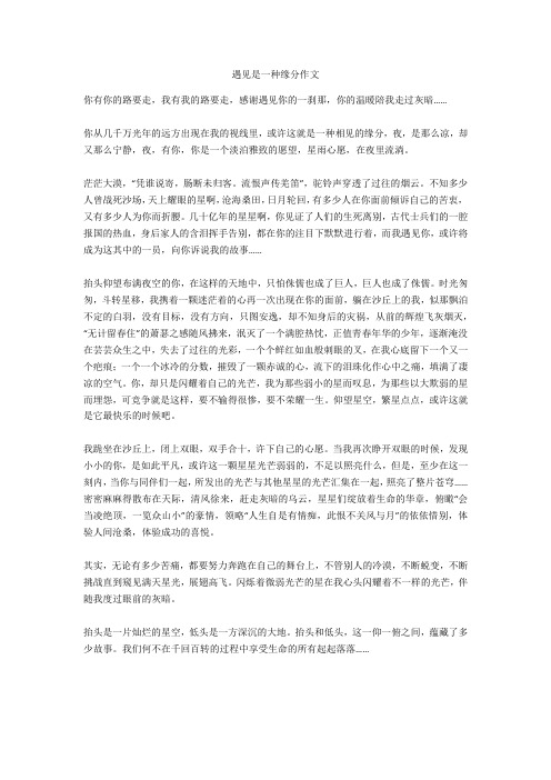遇见是一种缘分作文全面版
