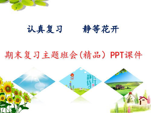 期末复习主题班会(精品)PPT课件《认真复习 静等花开》