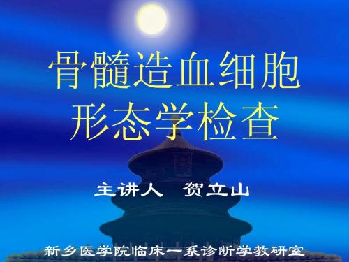 骨髓造血细胞形态学检查(贺)