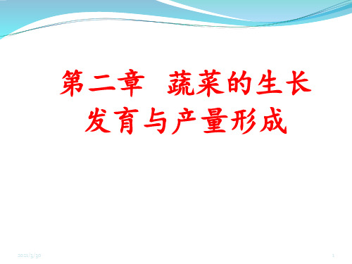 蔬菜的生长发育与产量形成 ppt课件