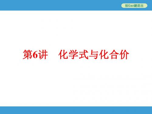 中考化学(人教版)总复习课件：第六讲 化学式与化合价