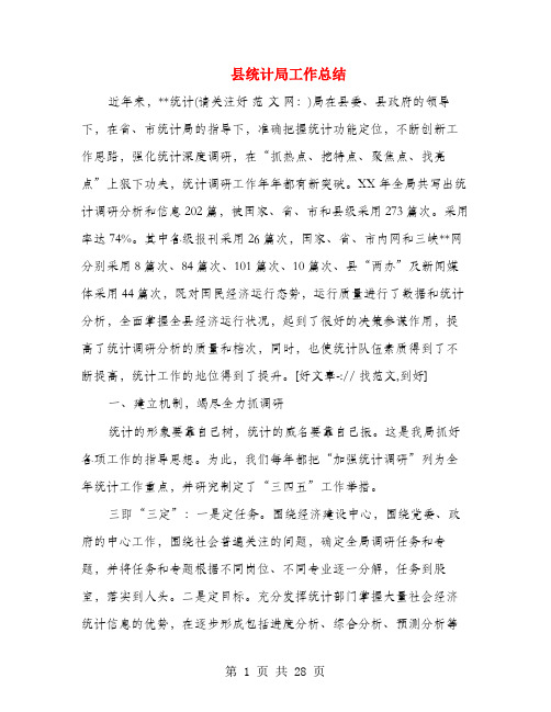 县统计局工作总结(多篇范文)