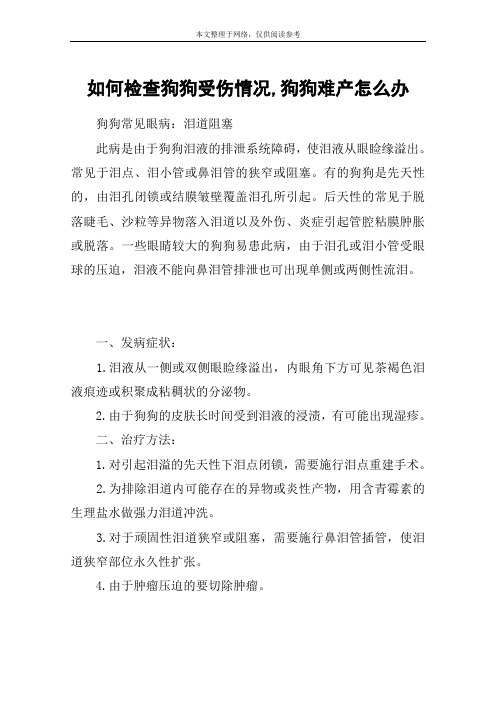 如何检查狗狗受伤情况,狗狗难产怎么办