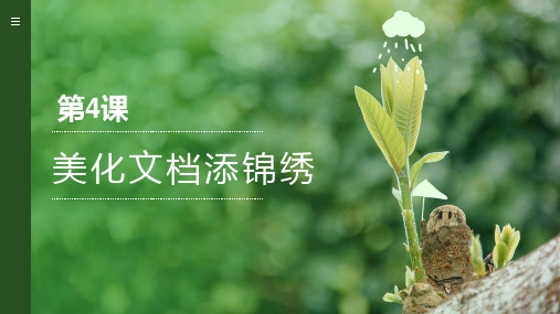第4课 美化文档添锦绣