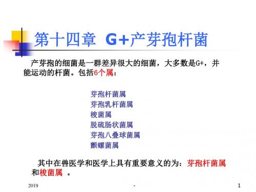 第十四章产芽孢杆菌ppt课件