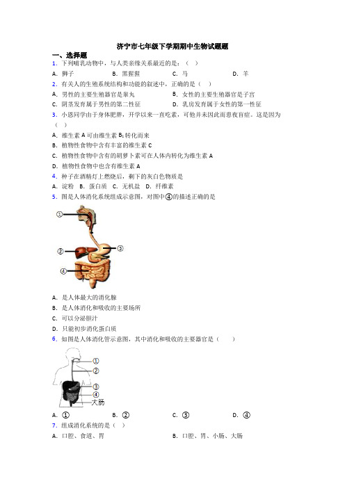 济宁市七年级下学期期中生物试题题