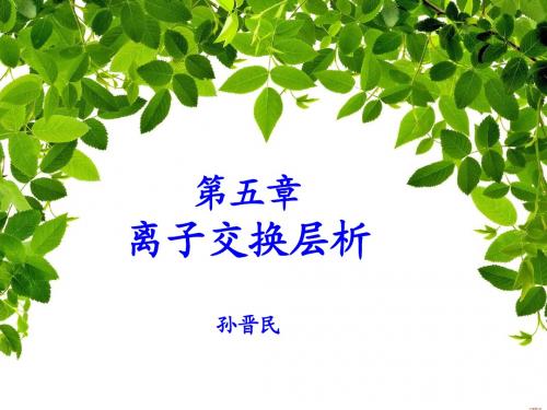 第五章 离子交换层析20130321