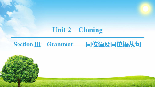 1819 Unit 2 Section Ⅲ Grammar——同位语及同位语从句
