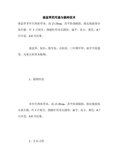 垂盆草的用途与栽培技术
