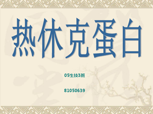 热休克蛋白