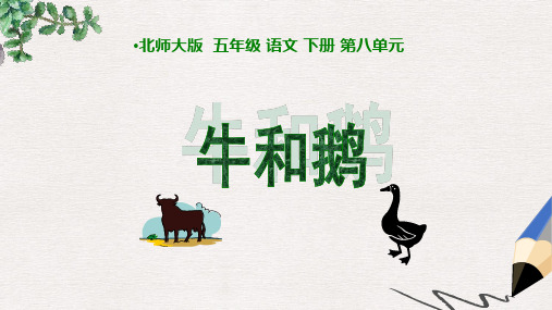 北师大版小学五年级语文下册8.1 牛和鹅精品ppt课件