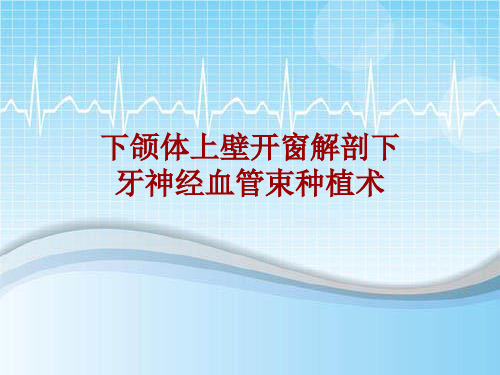 手术讲解模板：下颌体上壁开窗解剖下牙神经血管束种植术