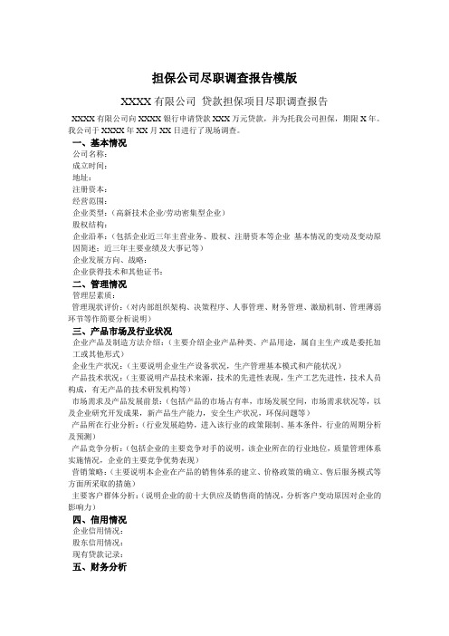 担保公司尽职调查报告模版