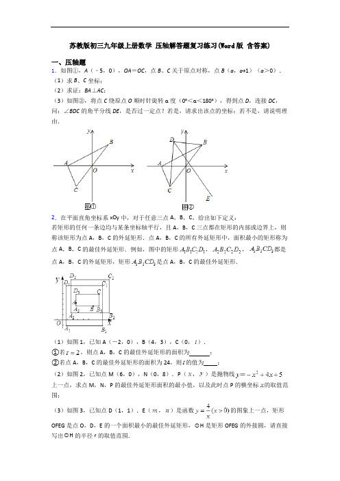 苏教版初三九年级上册数学 压轴解答题复习练习(Word版 含答案)