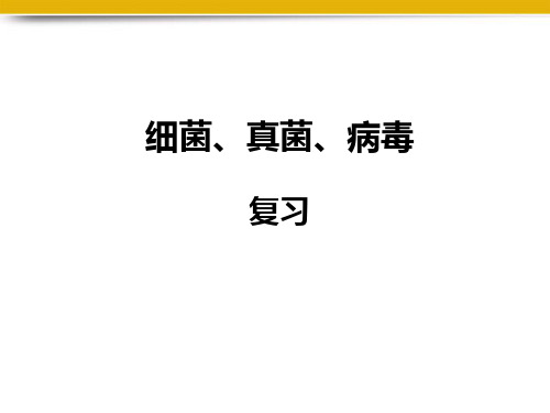 细菌、真菌、病毒