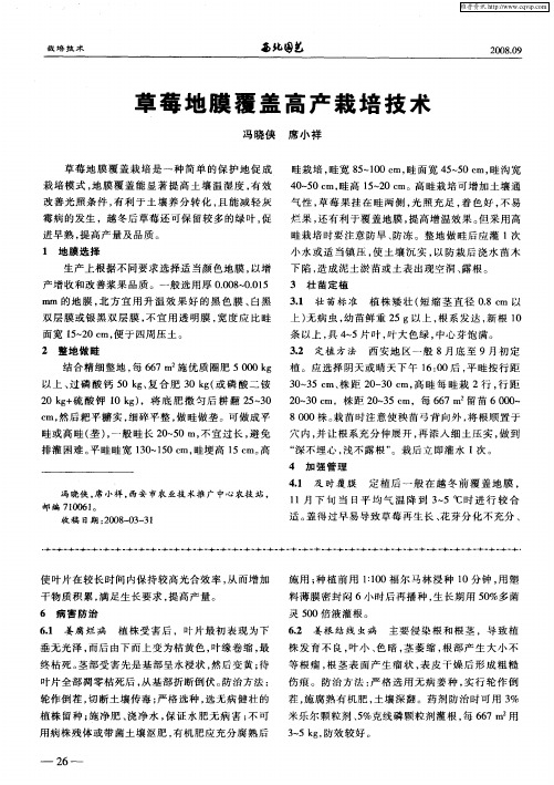 草莓地膜覆盖高产栽培技术