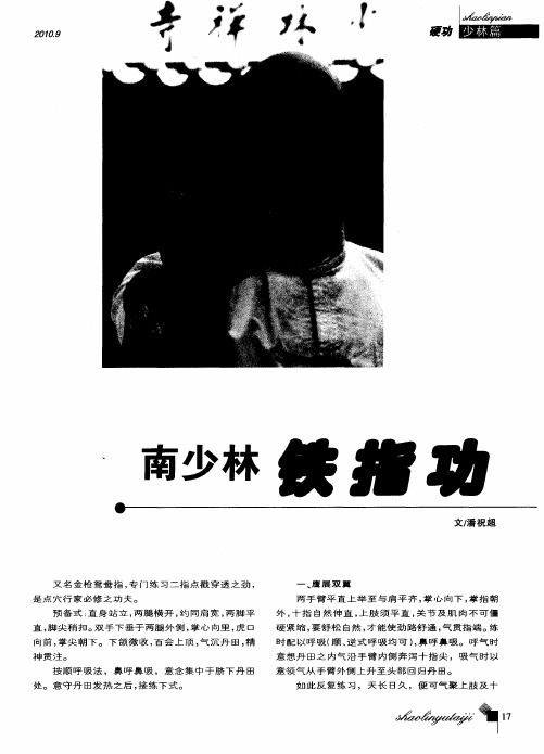 南少林铁指功