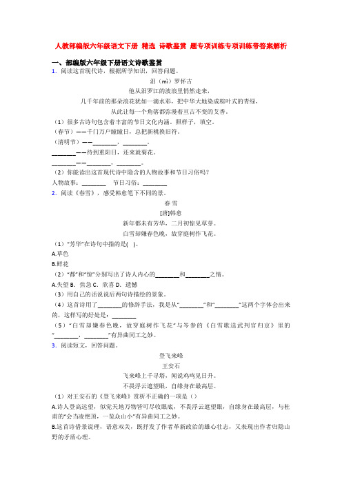 人教部编版六年级语文下册 精选 诗歌鉴赏 题专项训练专项训练带答案解析