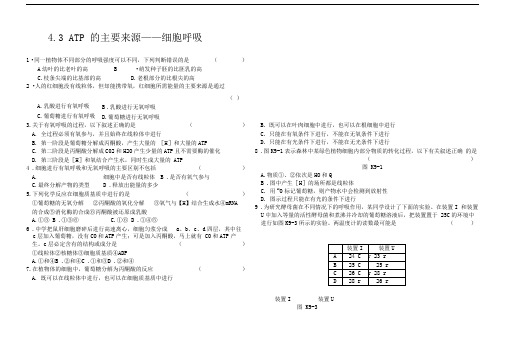 细胞呼吸练习题2