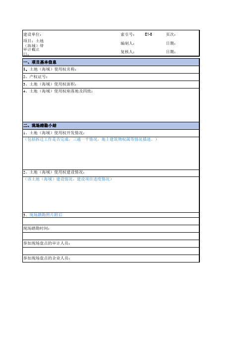 土地(海域)使用权现场察看记录表-模板
