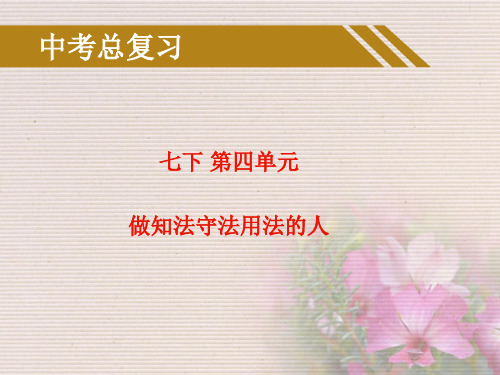 七年级政治下册 第四单元做知法守法用法的人课件人教版