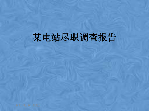某电站尽职调查报告