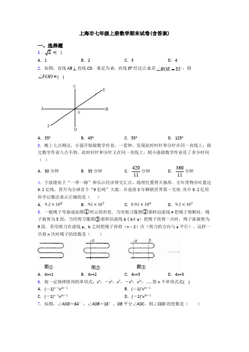 上海市七年级上册数学期末试卷(含答案)