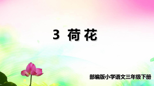 统编三下《荷花》公开课1