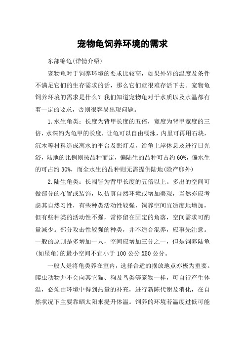 宠物龟饲养环境的需求