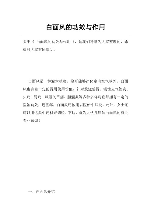 白面风的功效与作用